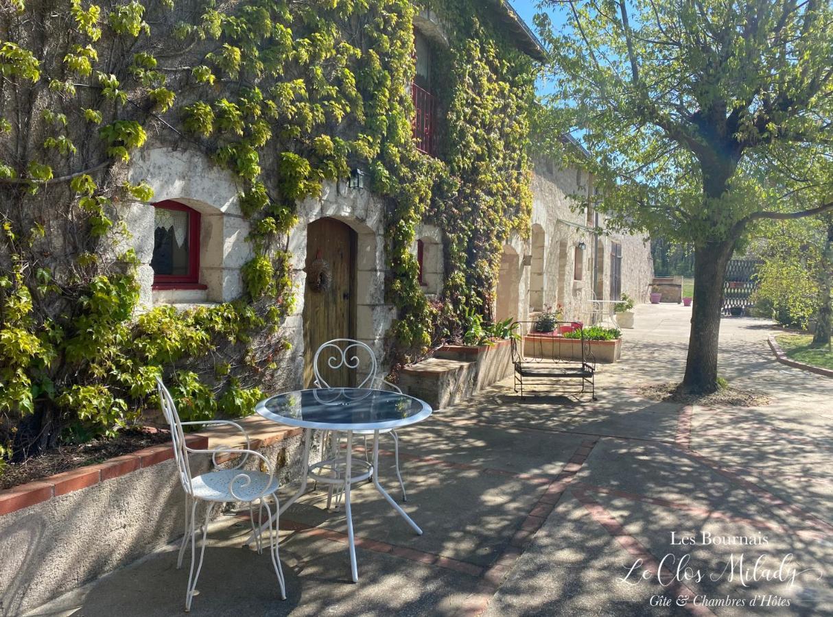Chambres D'Hotes Les Bournais - Le Clos Milady L'Ile-Bouchard Eksteriør bilde