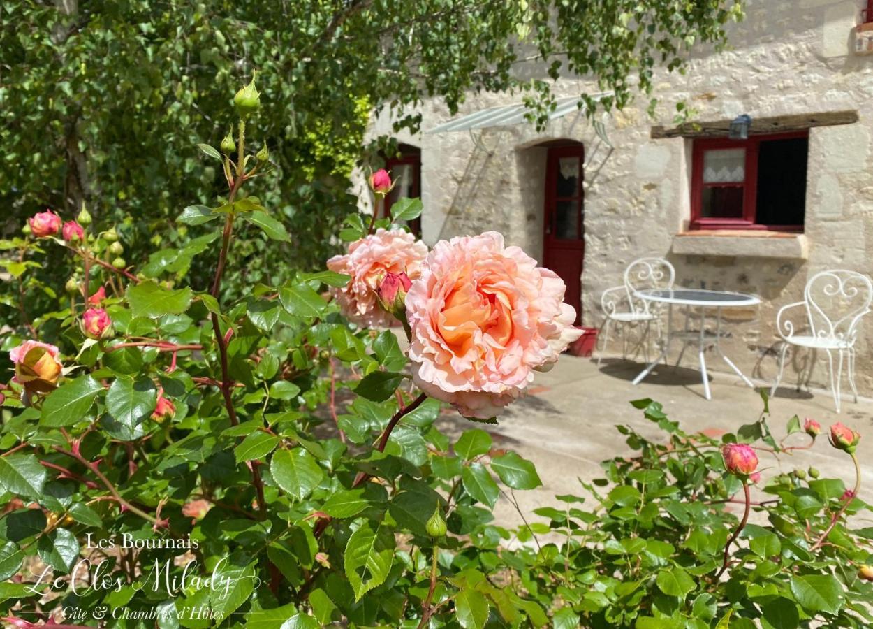 Chambres D'Hotes Les Bournais - Le Clos Milady L'Ile-Bouchard Eksteriør bilde