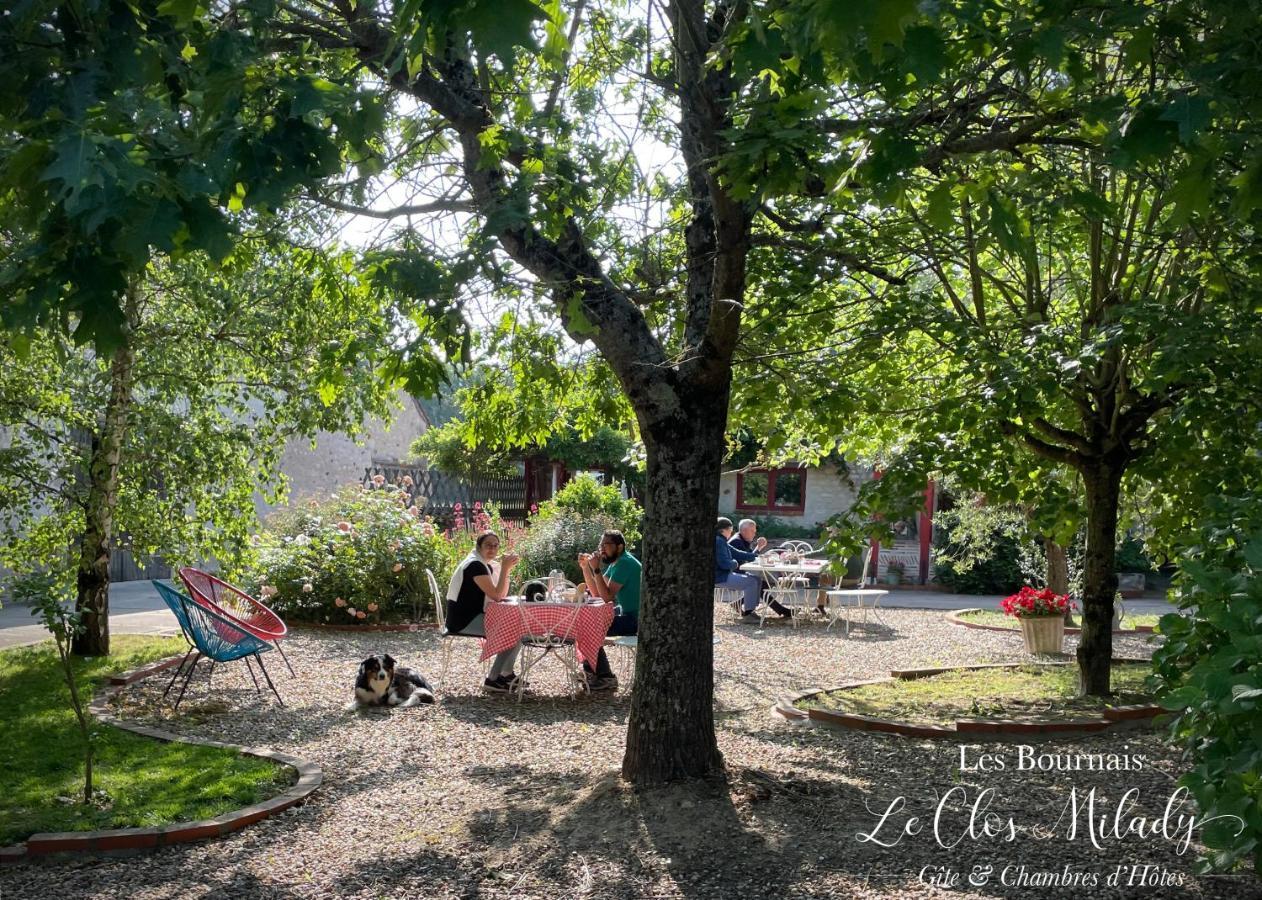 Chambres D'Hotes Les Bournais - Le Clos Milady L'Ile-Bouchard Eksteriør bilde
